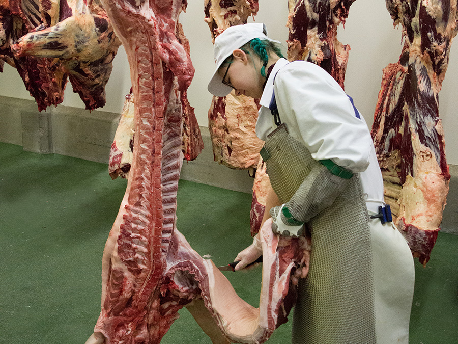 Mehr erfahren zur Ausbildung Fleischer/in